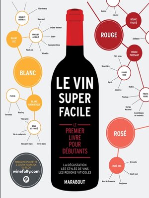 cover image of Le vin super facile